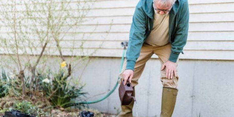 Repair Sewer Line