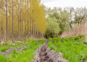 Easement of Prescription: What Every Landowner Should Know.