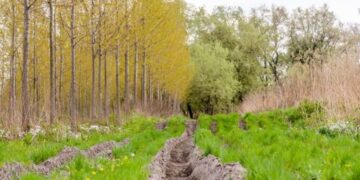 Easement of Prescription: What Every Landowner Should Know.