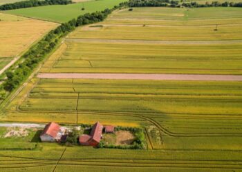Easement by Necessity: A Landowner's Guide to Legal Access