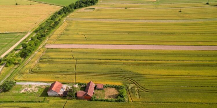 Easement by Necessity: A Landowner's Guide to Legal Access