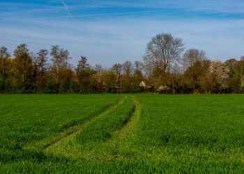 Easement by Implication: What Every Landowner Should Know