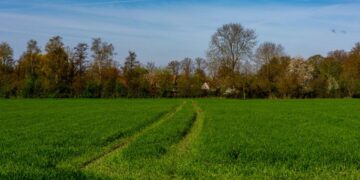 Easement by Implication: What Every Landowner Should Know