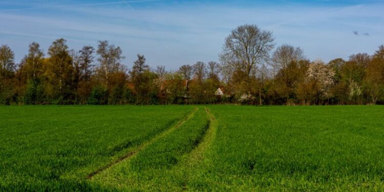 Easement by Implication: What Every Landowner Should Know
