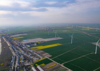 Building an Environmental Management Framework That Sticks