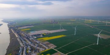 Building an Environmental Management Framework That Sticks