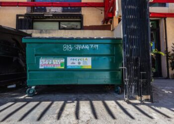 Is Dumpster Diving Legal? My Real Answer After Years of It